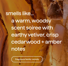 foaming hand wash refill - vetiver + amber, 28 fl oz 1