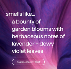 foaming hand wash refill - violet + lavender, 28 fl oz 1