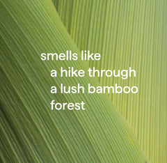 antibacterial all-purpose cleaner - bamboo, 28 fl oz