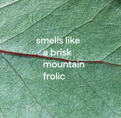 foaming tub + tile cleaner - eucalyptus mint, 28 fl oz