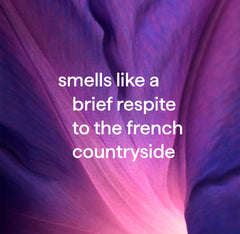 foaming hand wash - french lavender, 10 fl oz