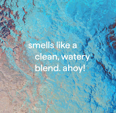 gel hand wash - sea minerals, 12 fl oz