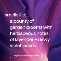 premium soy candle - violet + lavender, 14 oz