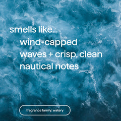 body lotion - sea + surf, 14 fl oz